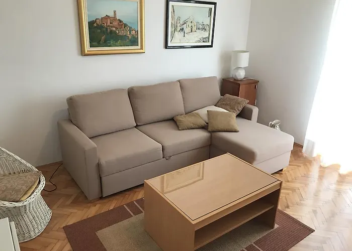 Apartment Branka