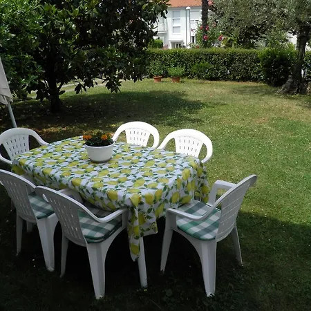 Apartment Branka